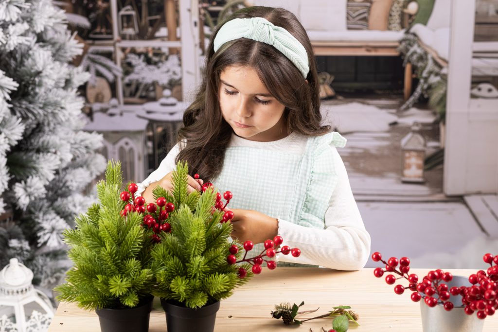 Sesiones de fotos profesionales navidad 2026 en Ávila